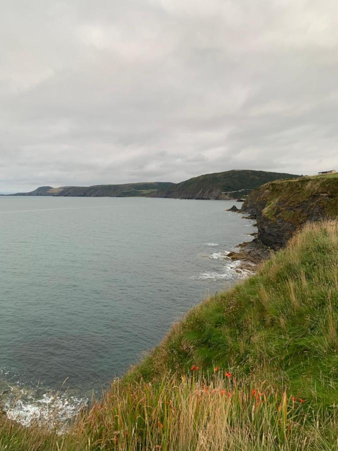 Wild Coastal Retreat At Troed Y Rhiw Aberporth, West Wales Villa Buitenkant foto