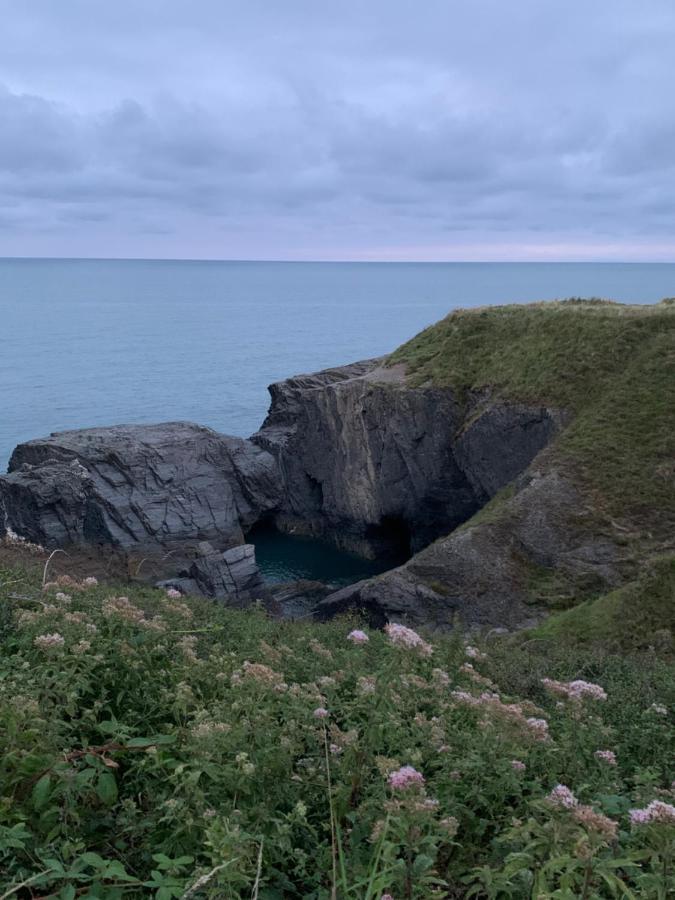 Wild Coastal Retreat At Troed Y Rhiw Aberporth, West Wales Villa Buitenkant foto