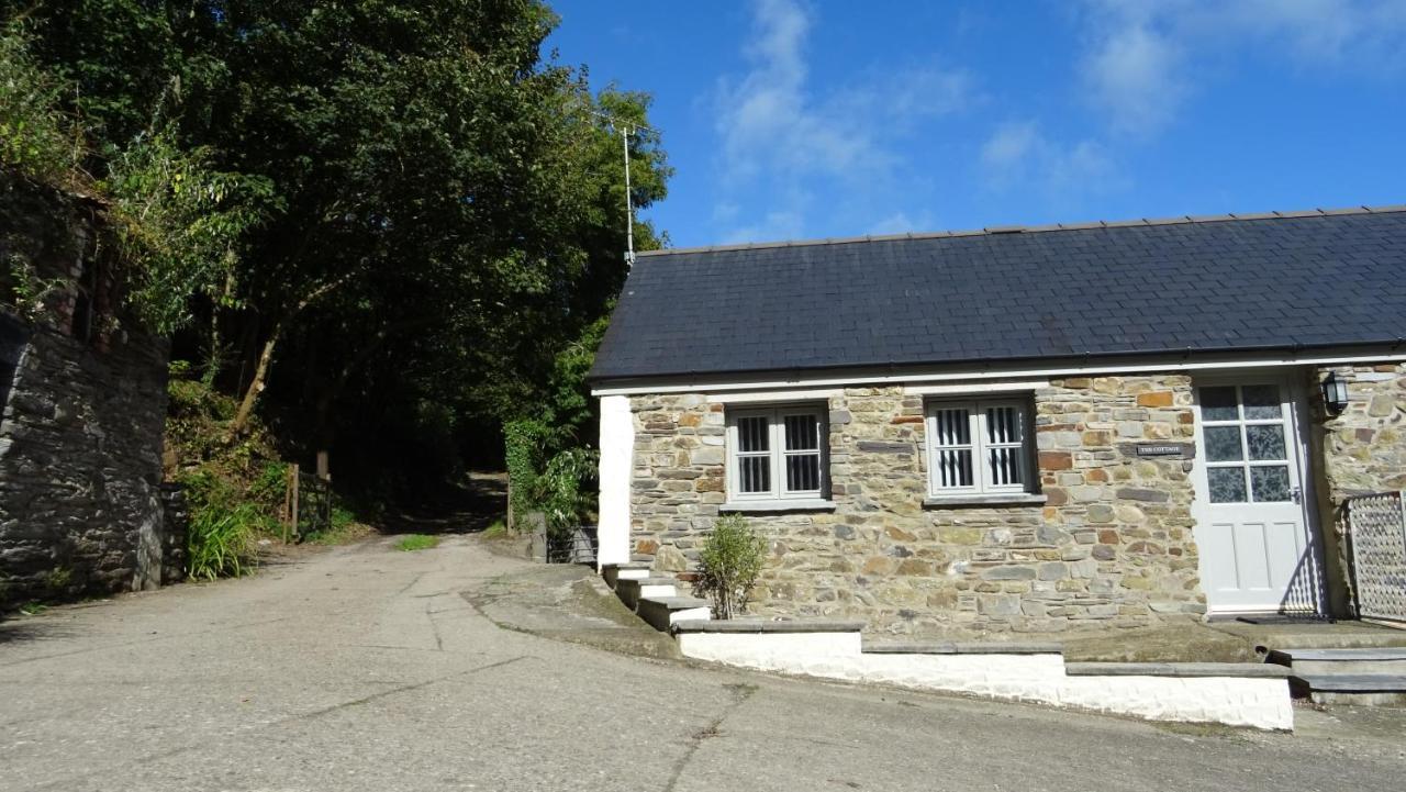 Wild Coastal Retreat At Troed Y Rhiw Aberporth, West Wales Villa Buitenkant foto