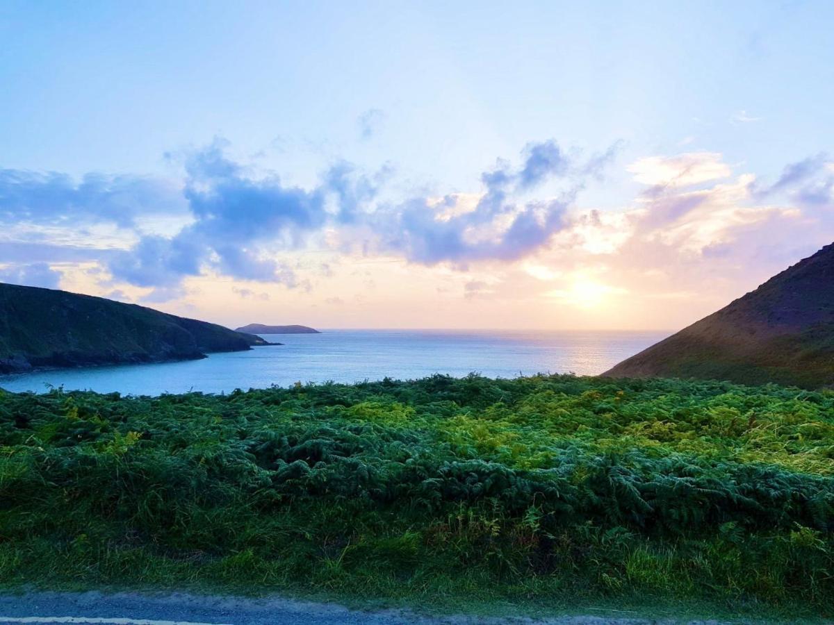 Wild Coastal Retreat At Troed Y Rhiw Aberporth, West Wales Villa Buitenkant foto